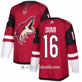 Män Ishockey Arizona Coyotes Tröja Max Domi 16 Adidas 2017-2018 Maroon Authentic